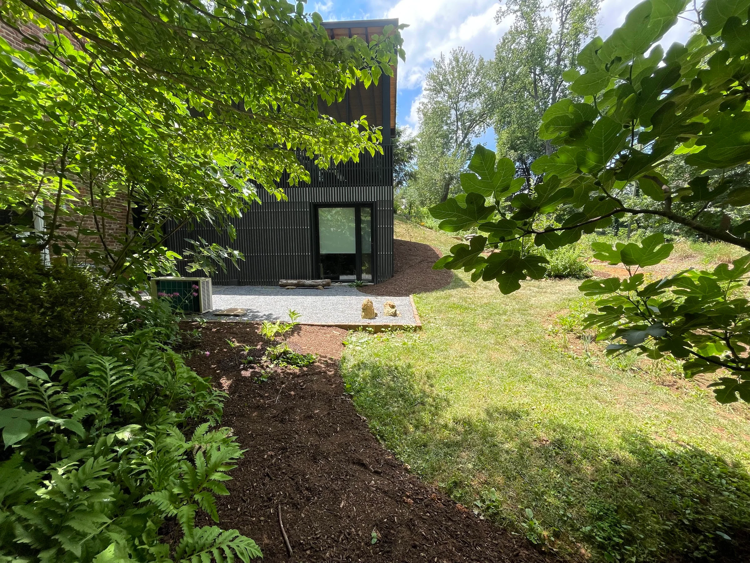 IMG 0800