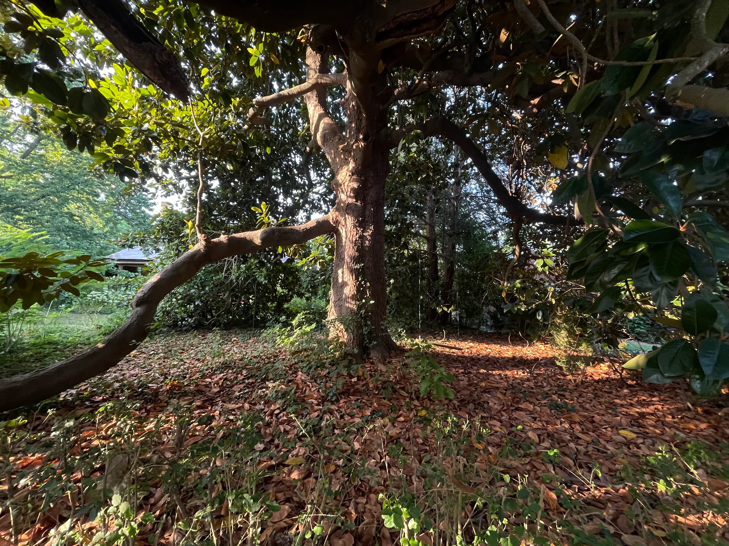 IMG 0916