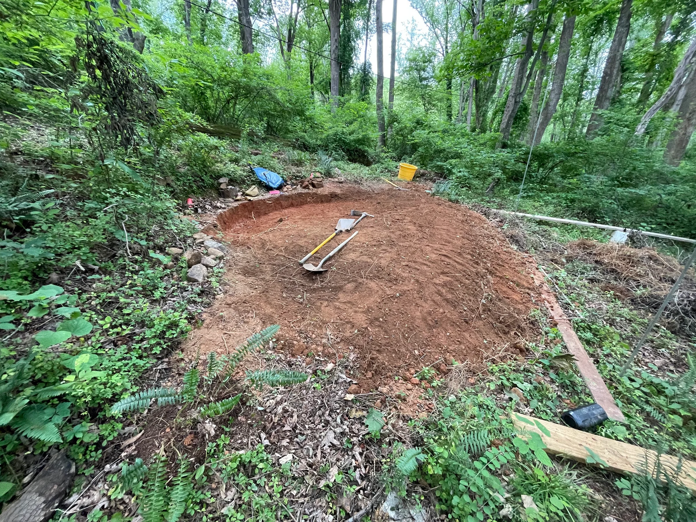 IMG 0474
