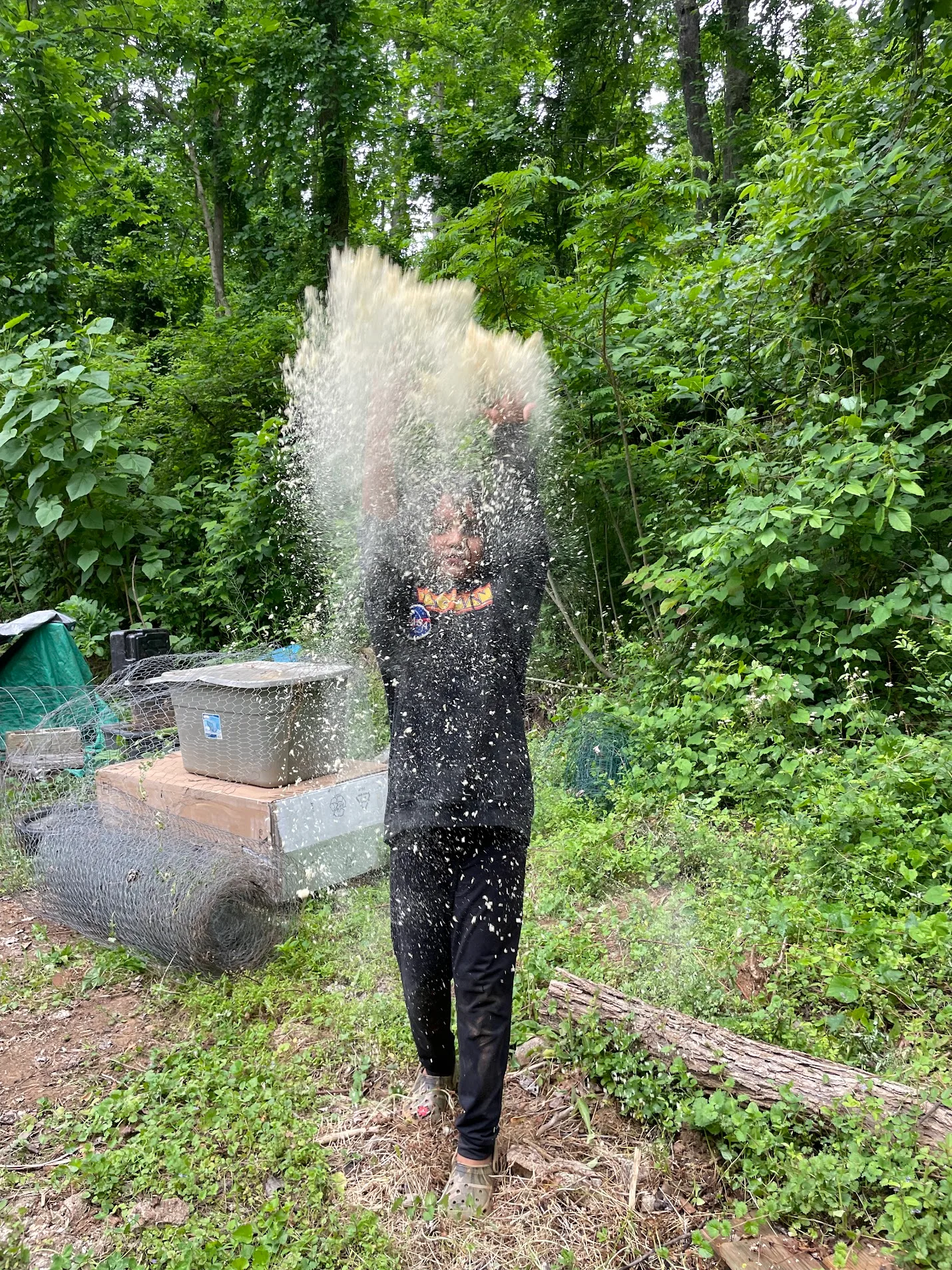 IMG 9336