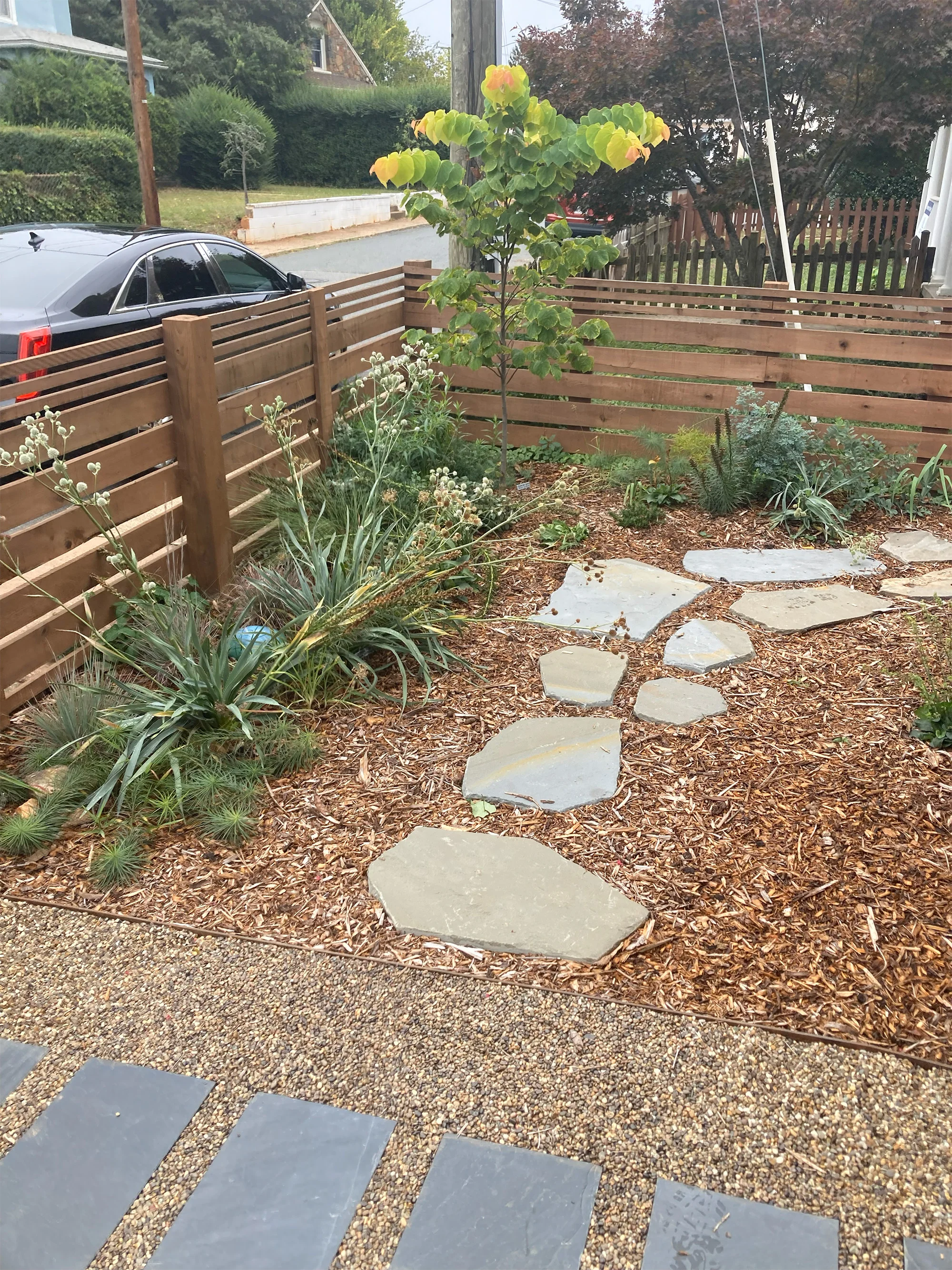 A stone garden path in a small front yard bound by a horizontal wood fence and a young planting.